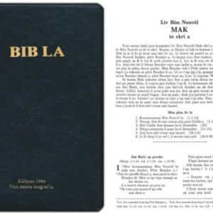 Bibles (300 each)